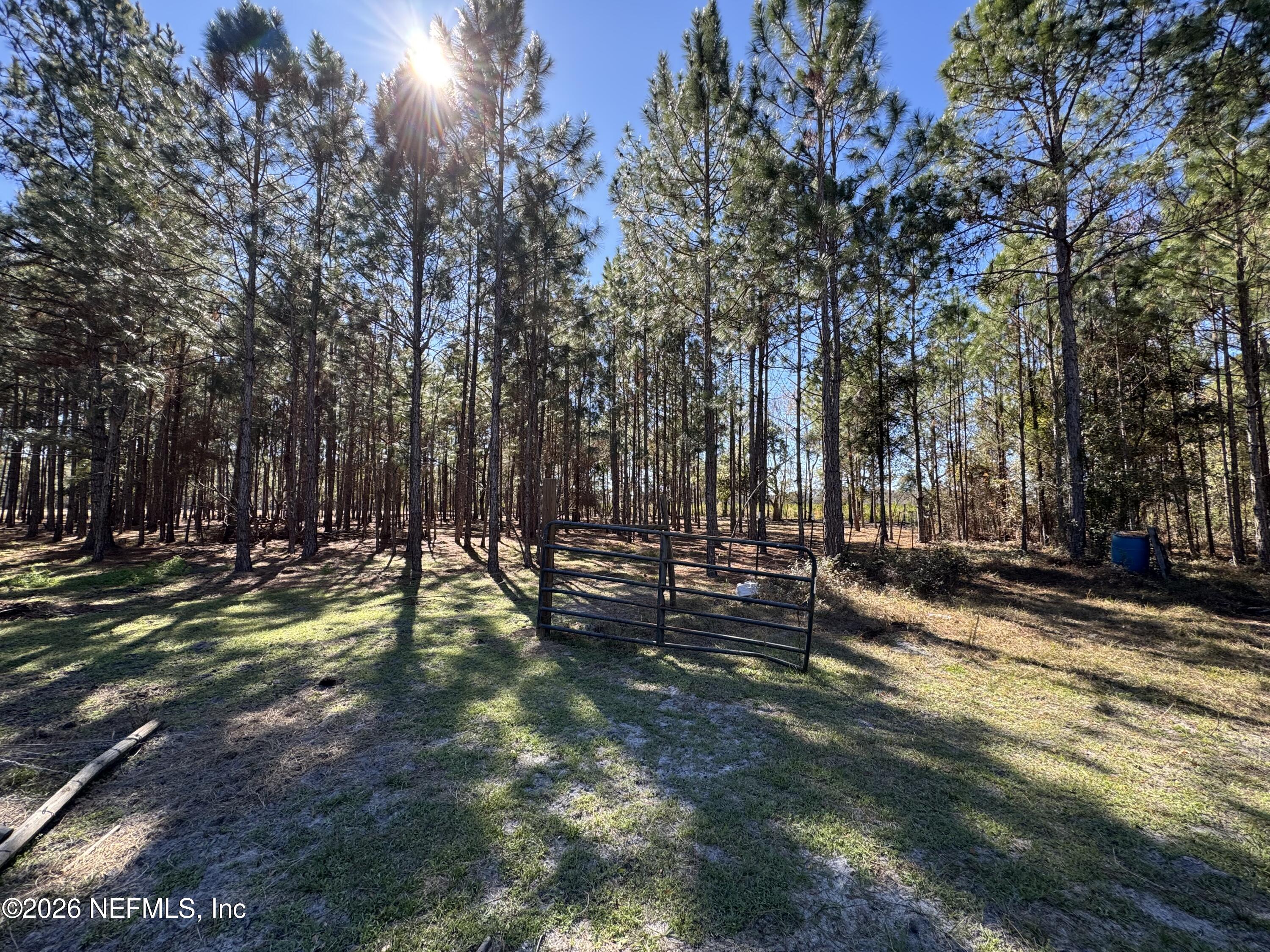 0 Southwest 105th Street Brooker, FL 32622 - Photo 14 of 40 IMG_6039