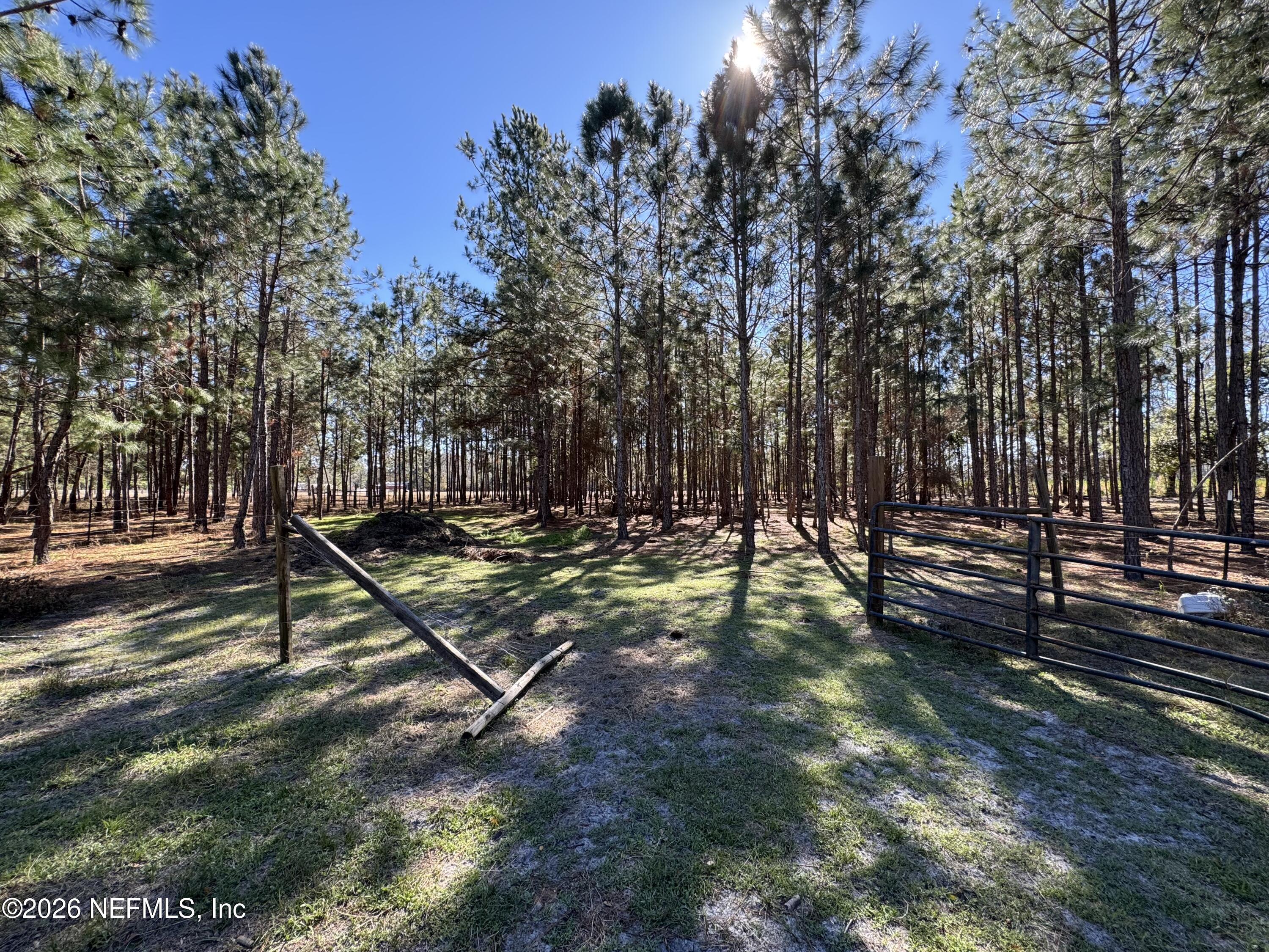 0 Southwest 105th Street Brooker, FL 32622 - Photo 15 of 40 a view of a park with large trees