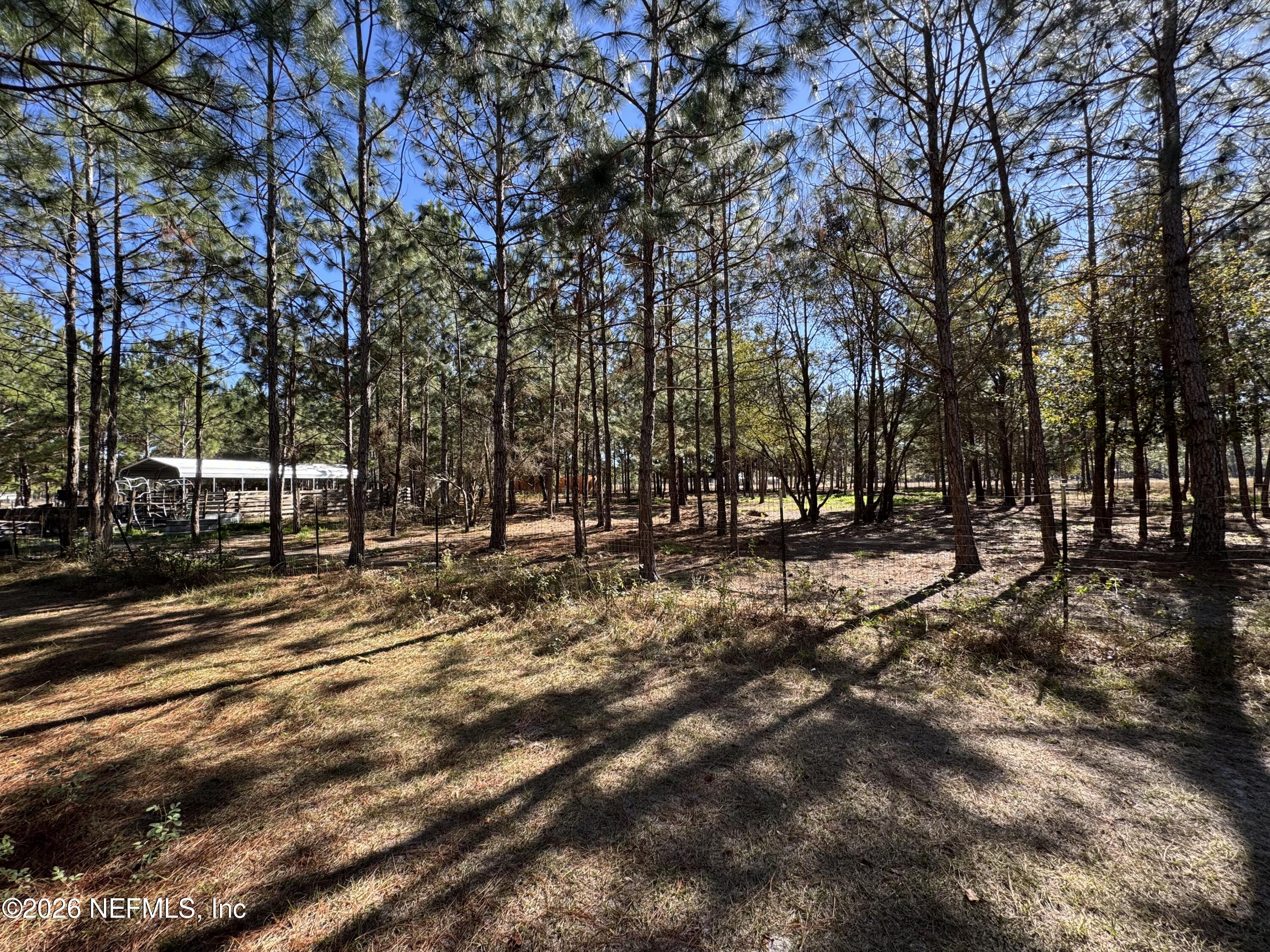 0 Southwest 105th Street Brooker, FL 32622 - Photo 16 of 40 a view of road with trees