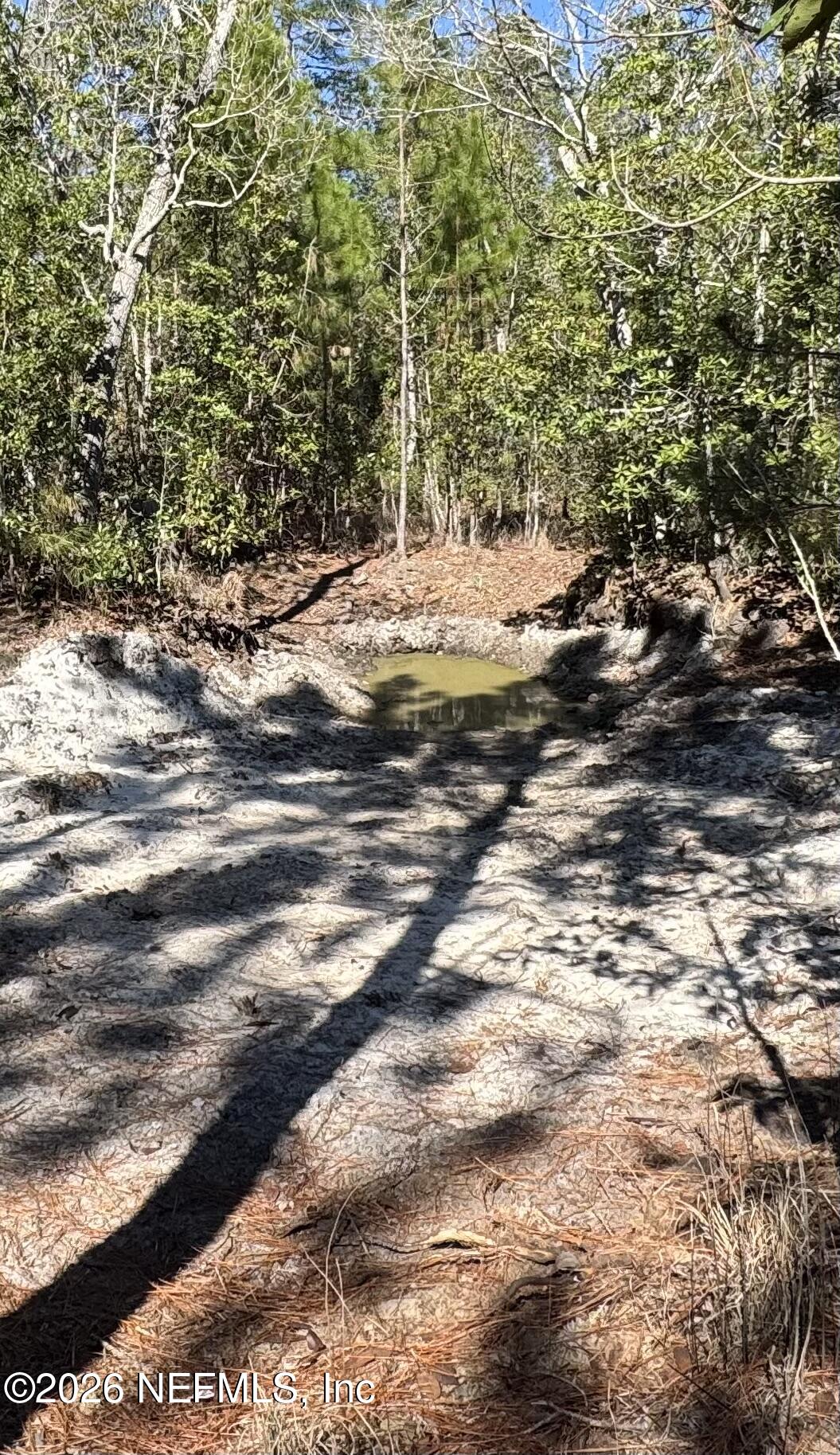 0 Southwest 105th Street Brooker, FL 32622 - Photo 20 of 40 a view of a yard with an outdoor space