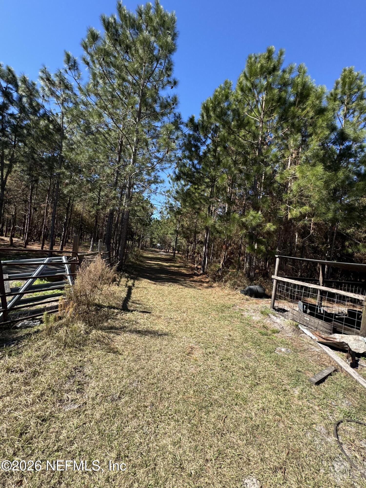 0 Southwest 105th Street Brooker, FL 32622 - Photo 2 of 40 a backyard of a house with lots of green space