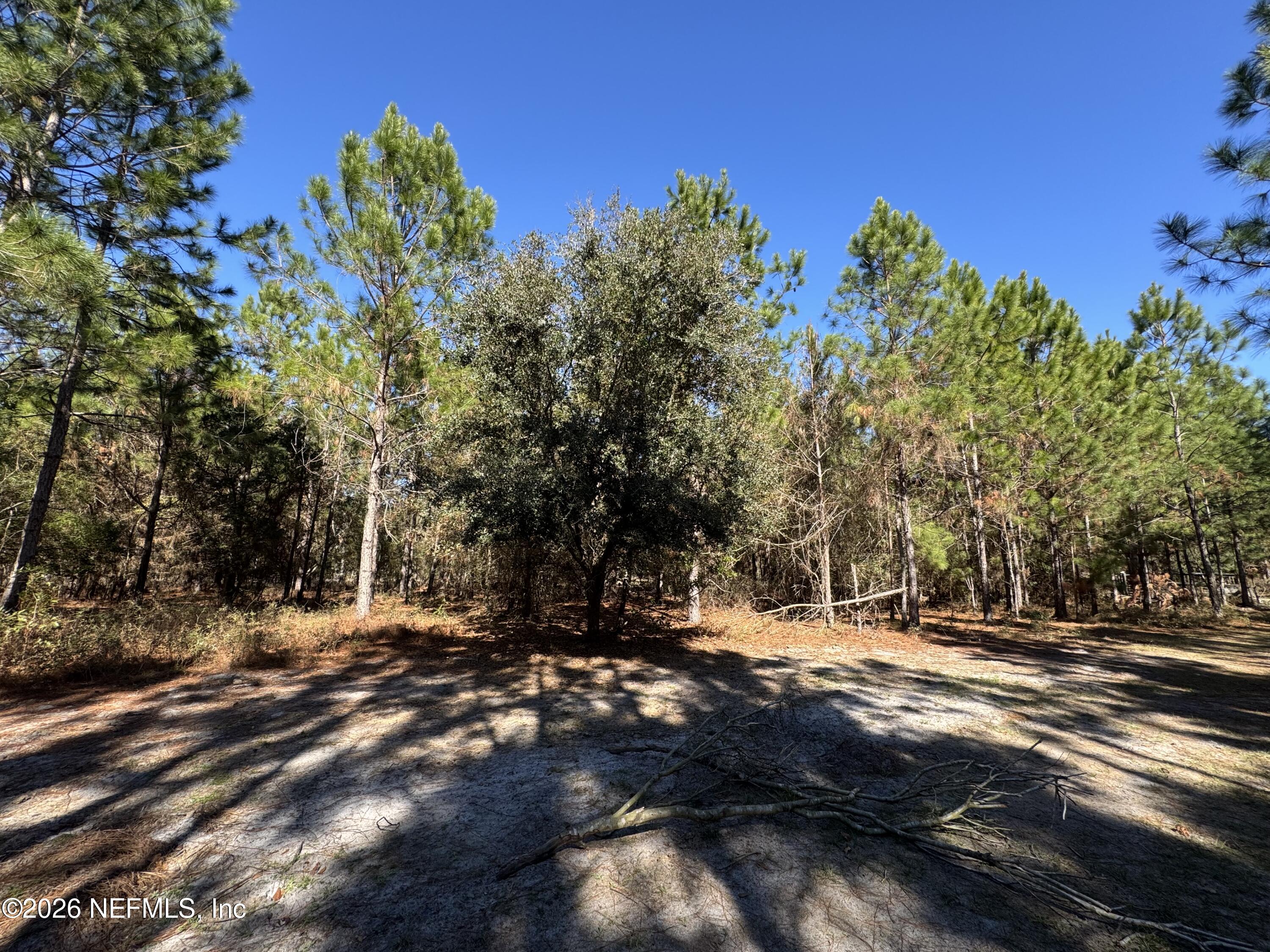 0 Southwest 105th Street Brooker, FL 32622 - Photo 22 of 40 a view of outdoor space with trees