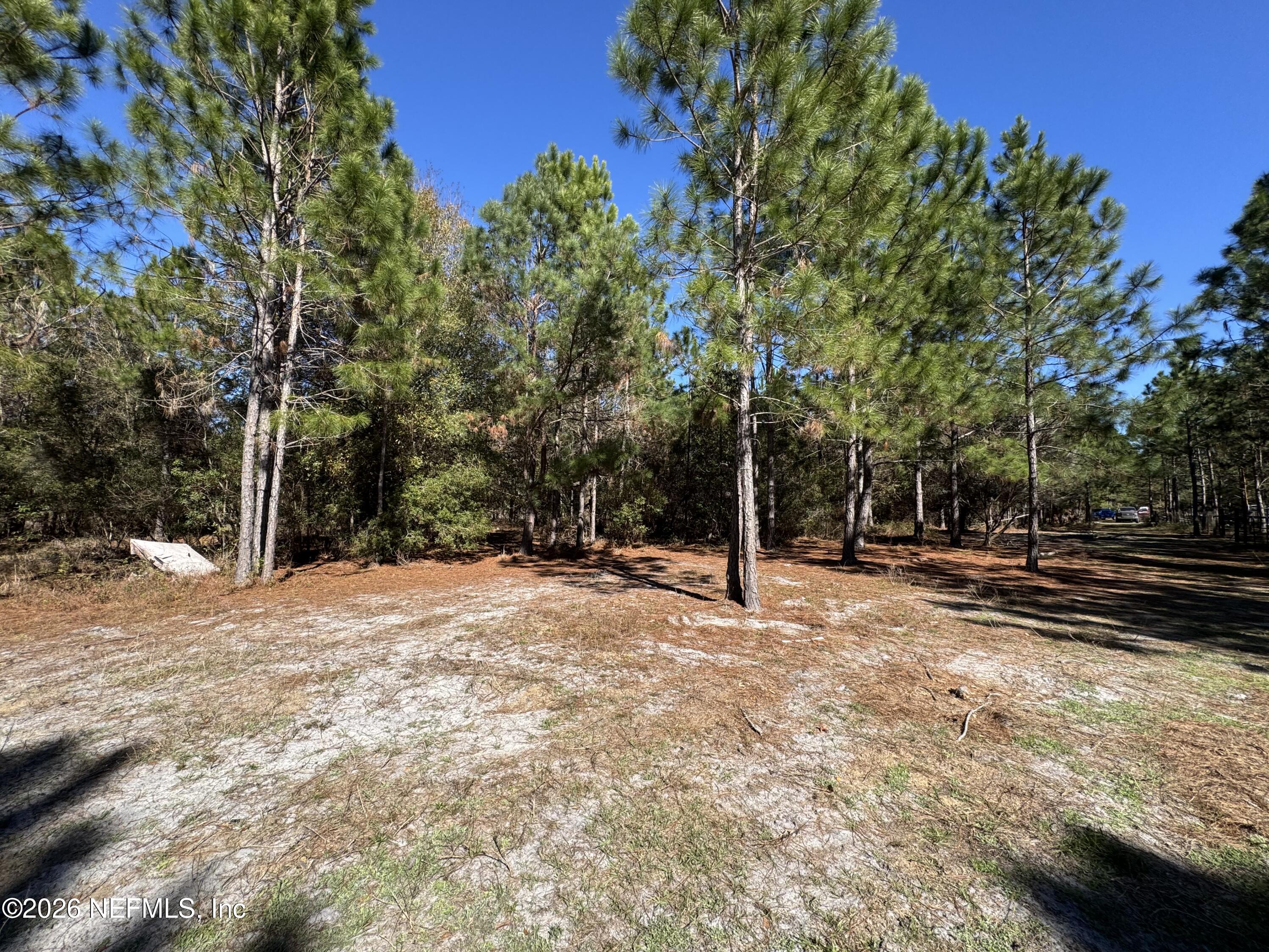 0 Southwest 105th Street Brooker, FL 32622 - Photo 24 of 40 a view of a yard with plants and trees