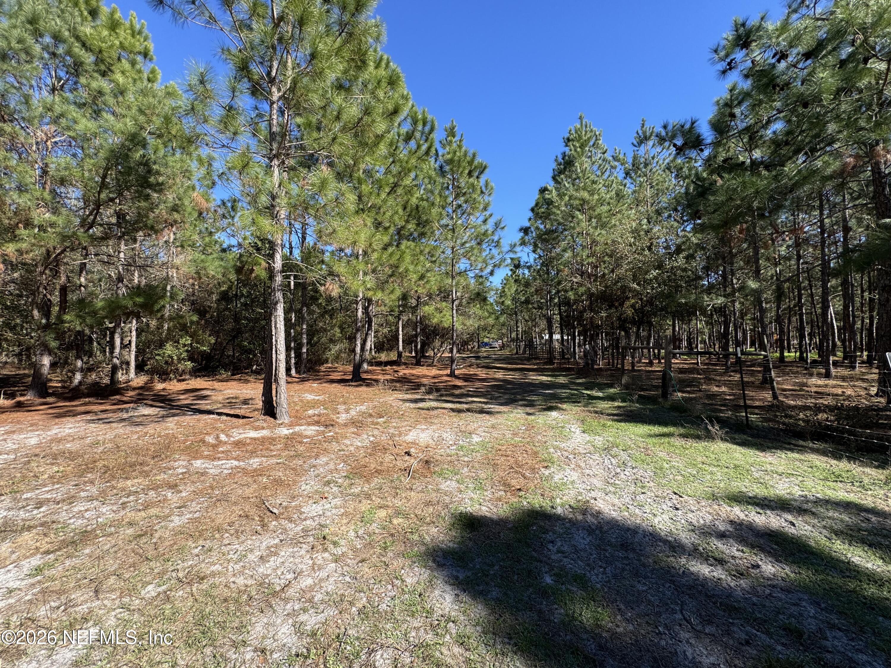 0 Southwest 105th Street Brooker, FL 32622 - Photo 25 of 40 a view of a yard with wooden fence