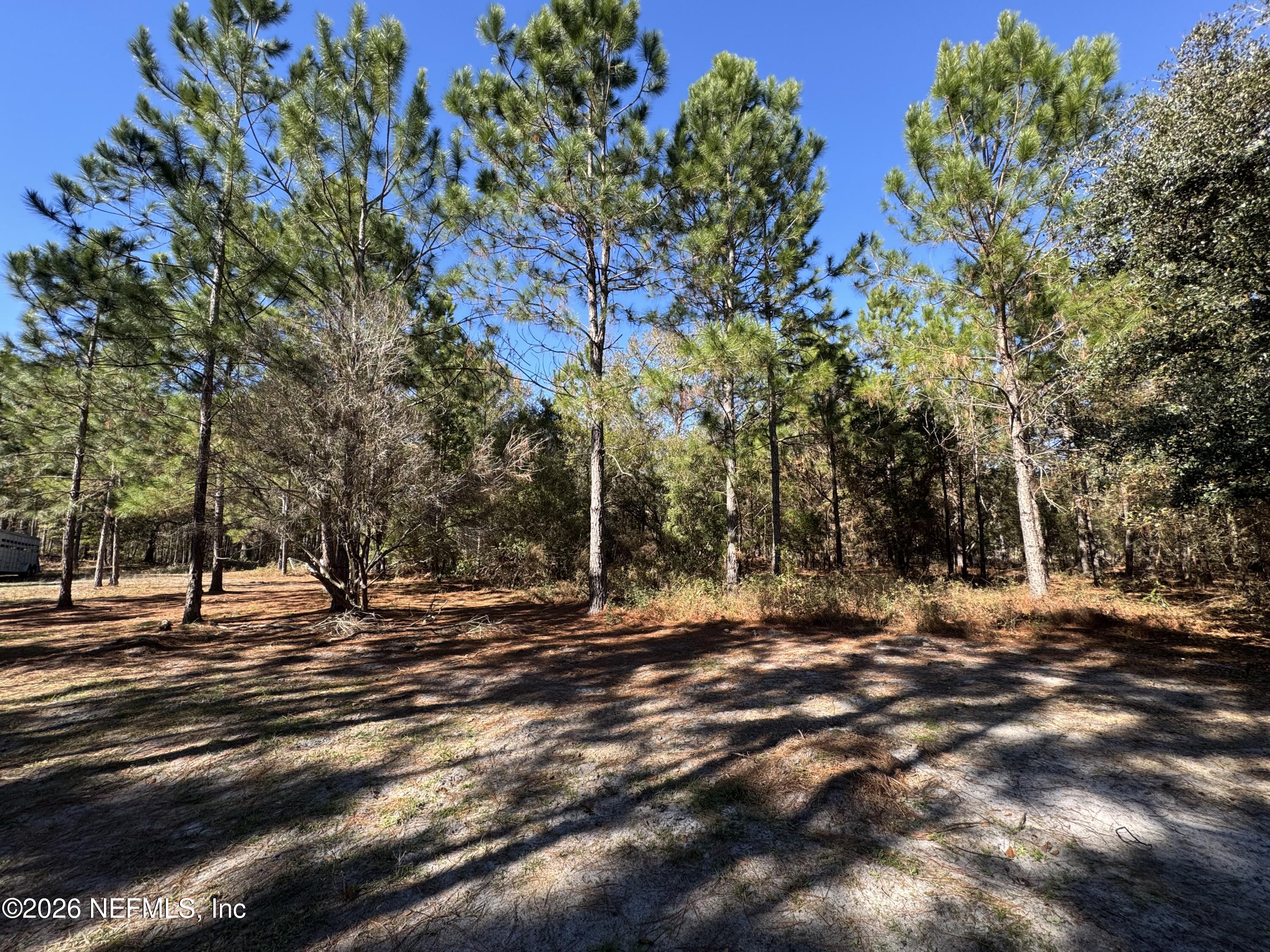 0 Southwest 105th Street Brooker, FL 32622 - Photo 26 of 40 IMG_6045