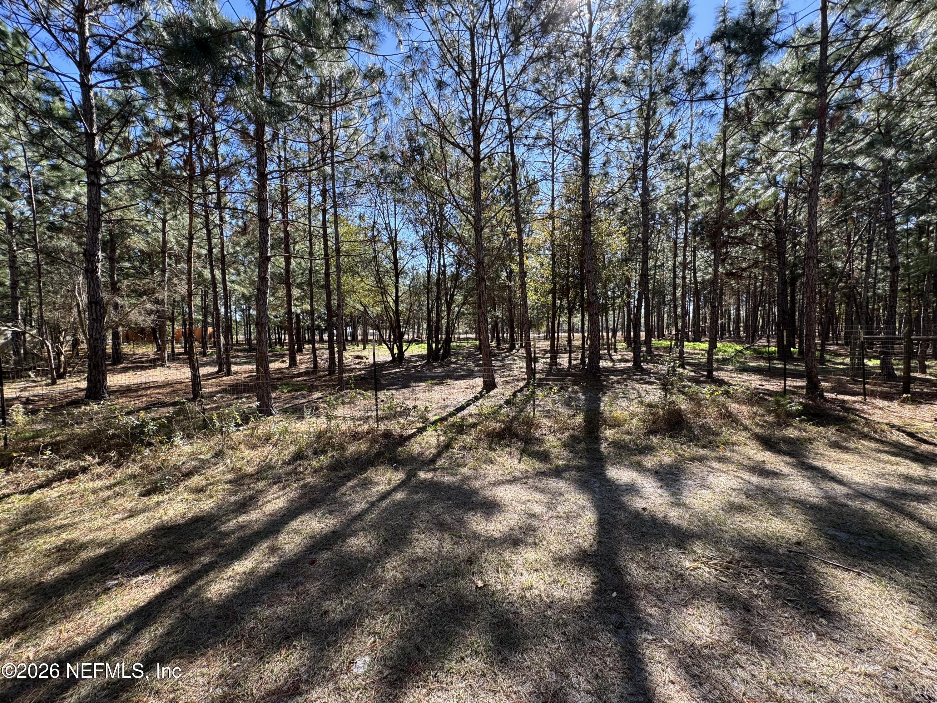 0 Southwest 105th Street Brooker, FL 32622 - Photo 27 of 40 a view of outdoor space with trees