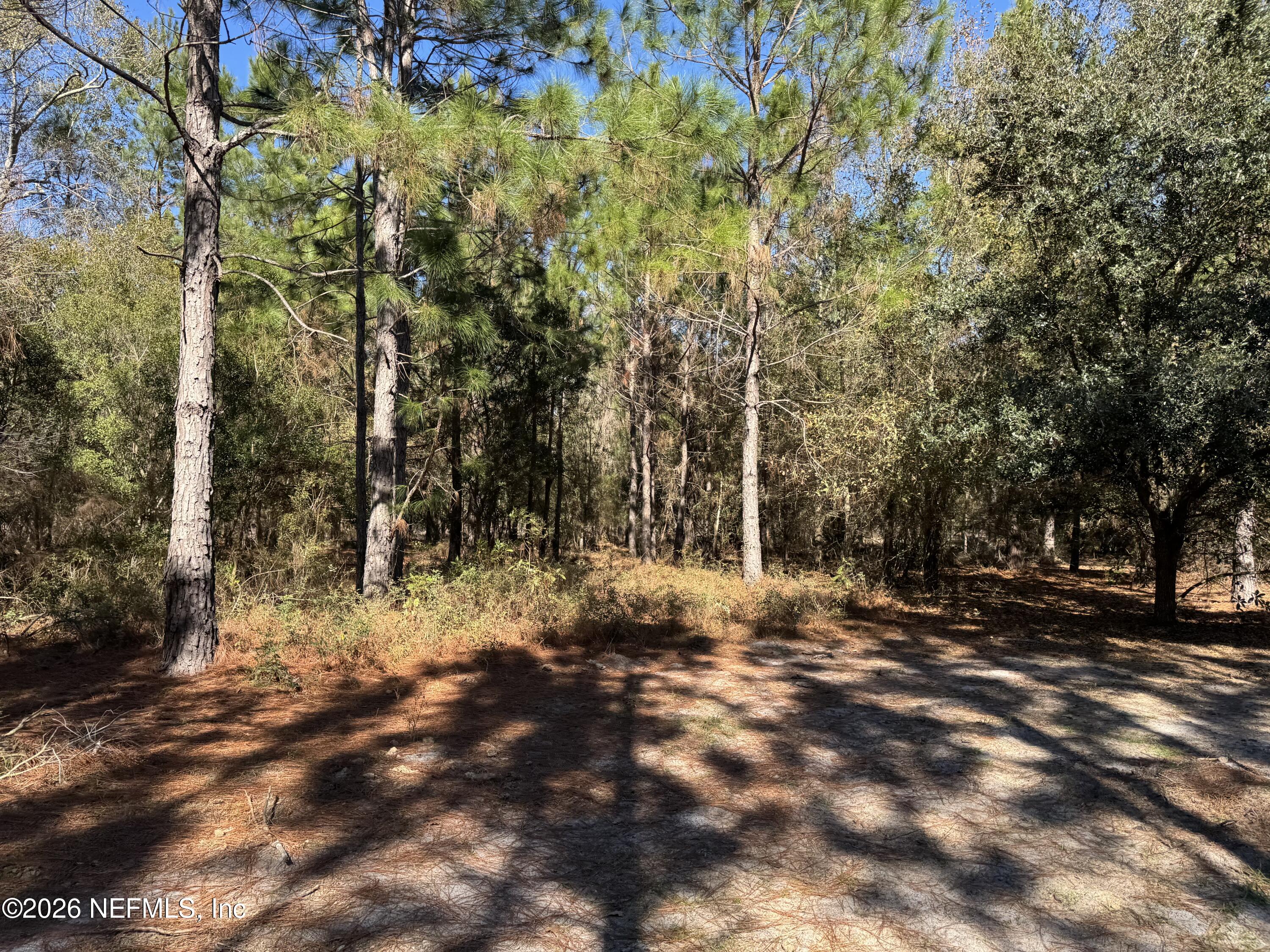 0 Southwest 105th Street Brooker, FL 32622 - Photo 28 of 40 a view of a tree with a yard