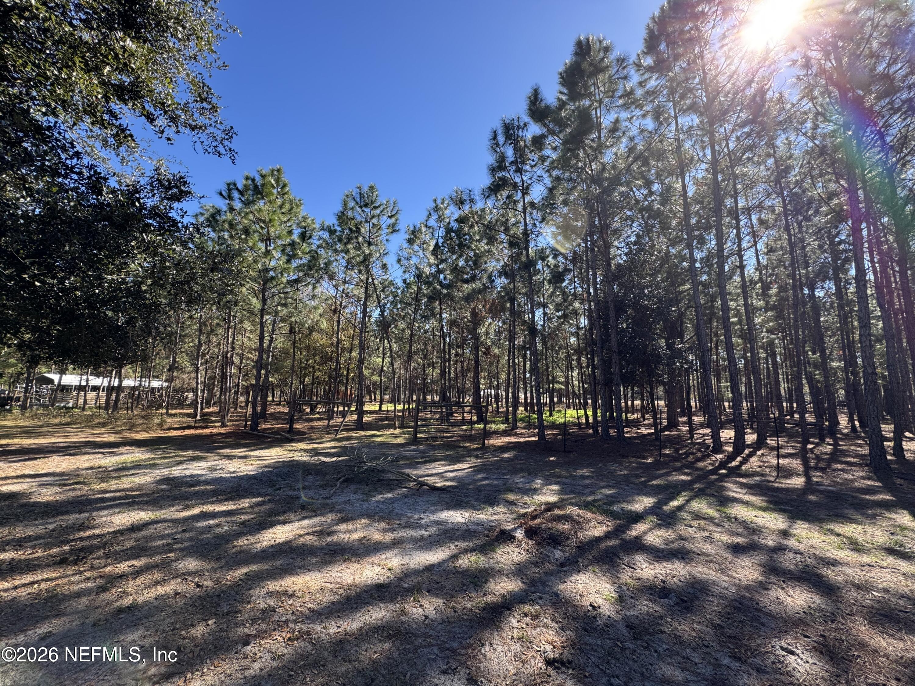 0 Southwest 105th Street Brooker, FL 32622 - Photo 29 of 40 IMG_6034