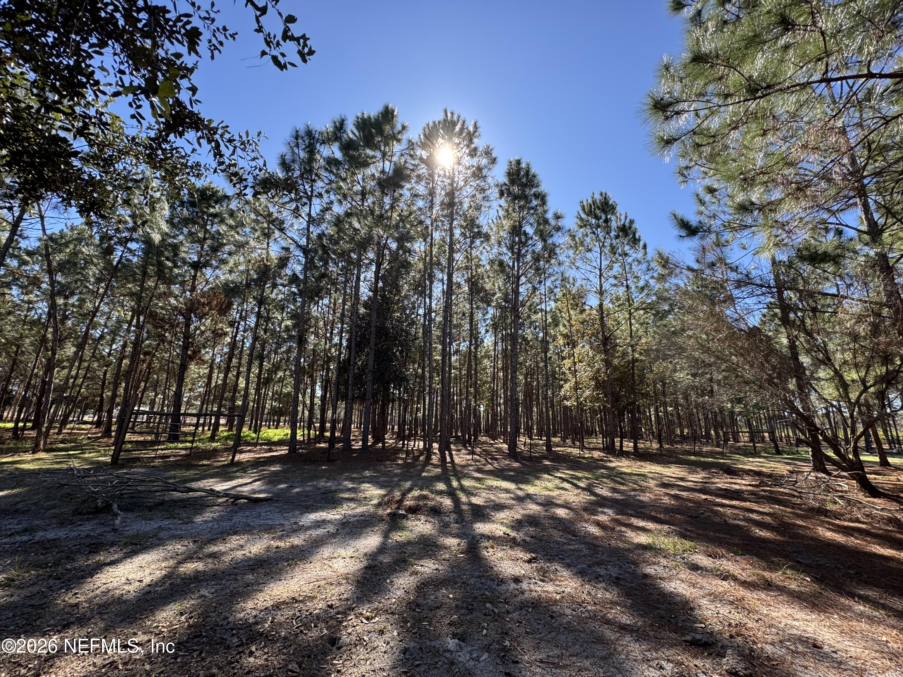 0 Southwest 105th Street Brooker, FL 32622 - Photo 30 of 40 a view of outdoor space with trees