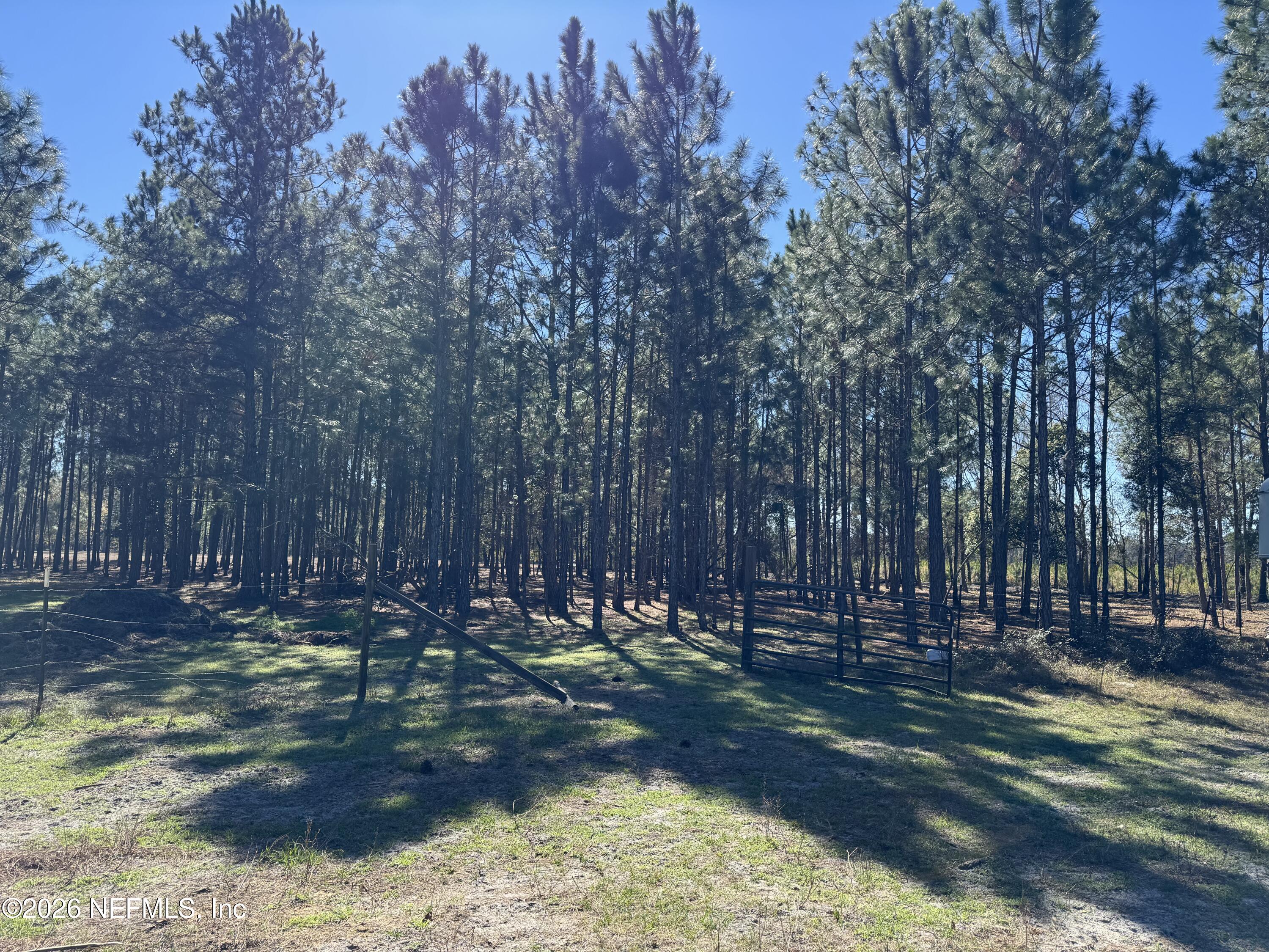 0 Southwest 105th Street Brooker, FL 32622 - Photo 33 of 40 a view of a yard with trees