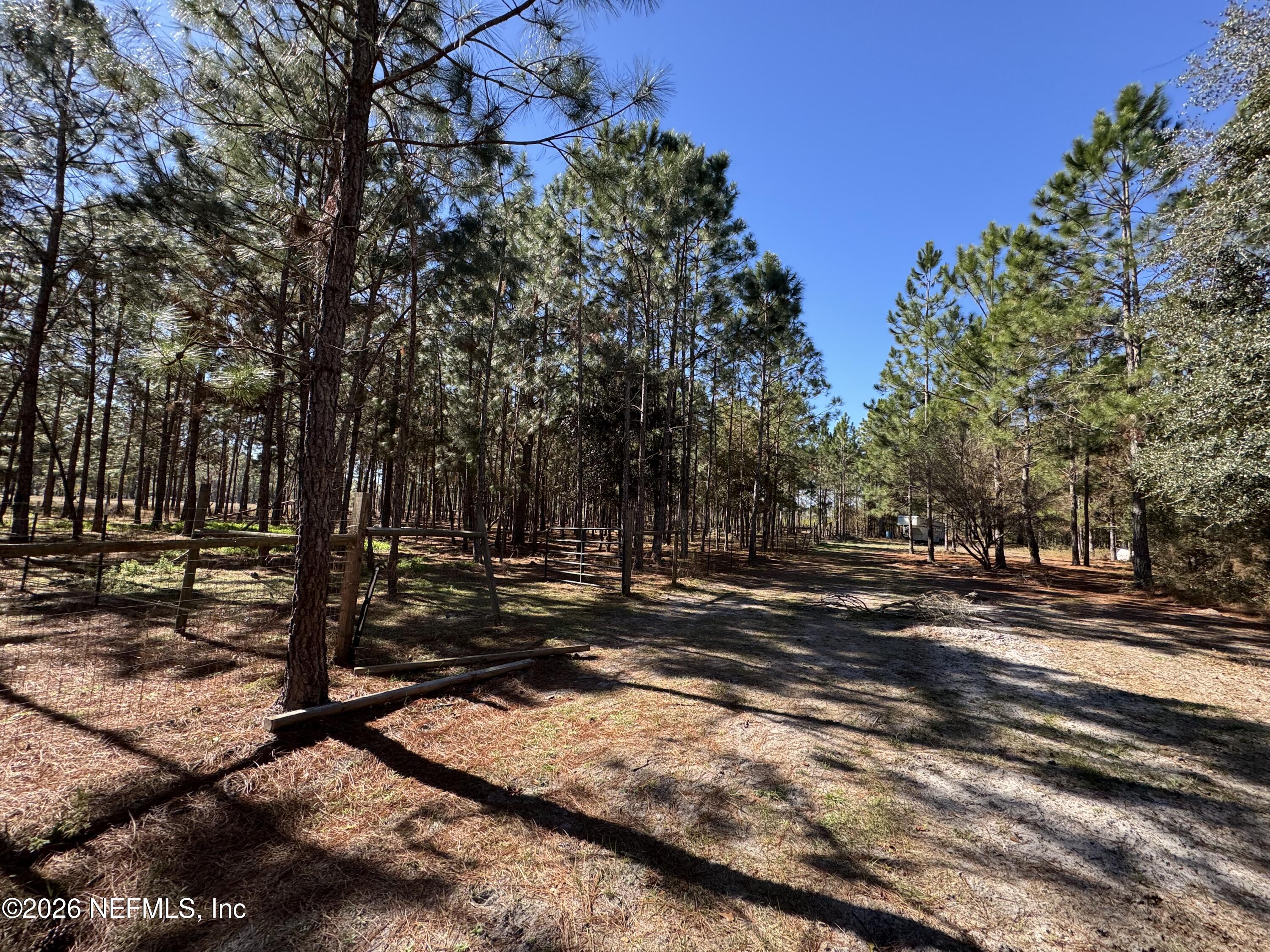 0 Southwest 105th Street Brooker, FL 32622 - Photo 34 of 40 a view of a yard with tree s