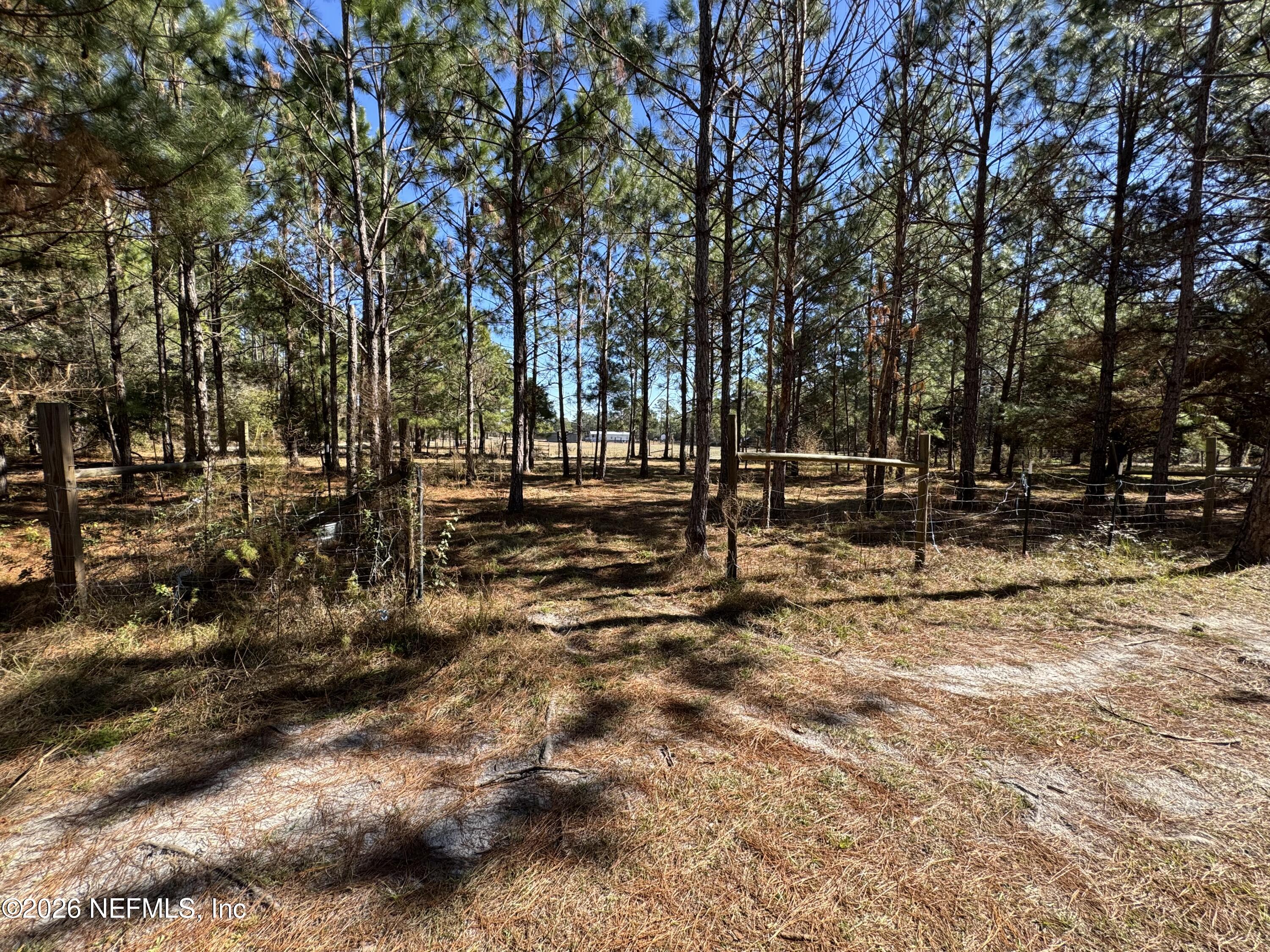 0 Southwest 105th Street Brooker, FL 32622 - Photo 36 of 40 a view of road with trees