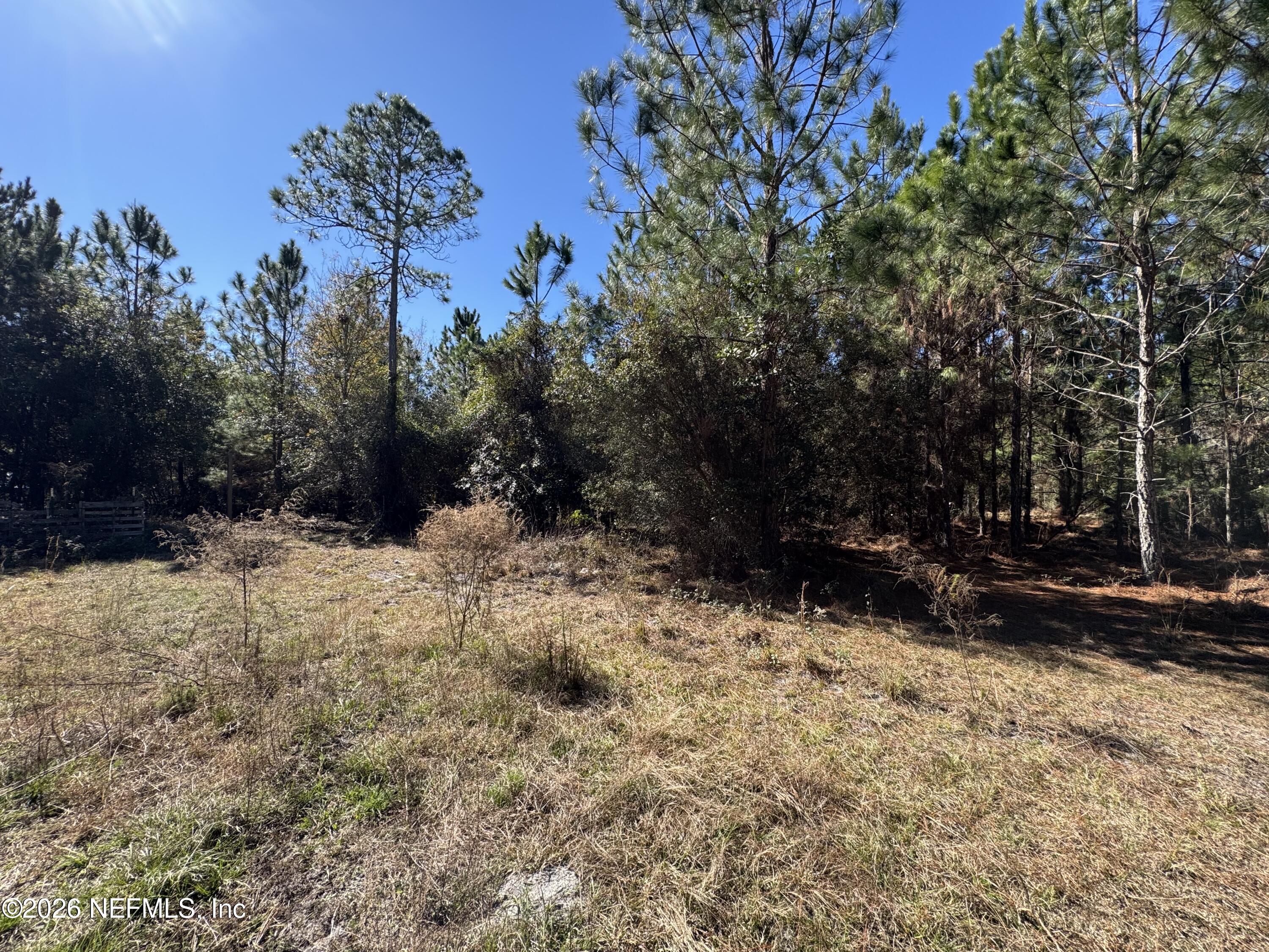 0 Southwest 105th Street Brooker, FL 32622 - Photo 38 of 40 a view of a yard covered in snow