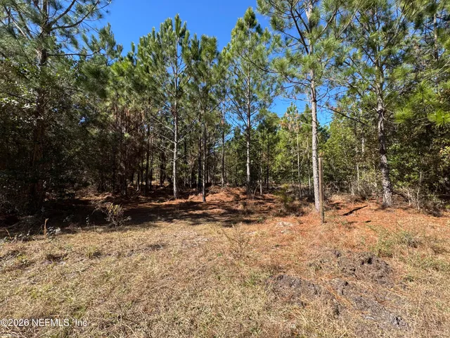 $215,000 | 0 Southwest 105th Street, Brooker, FL 32622