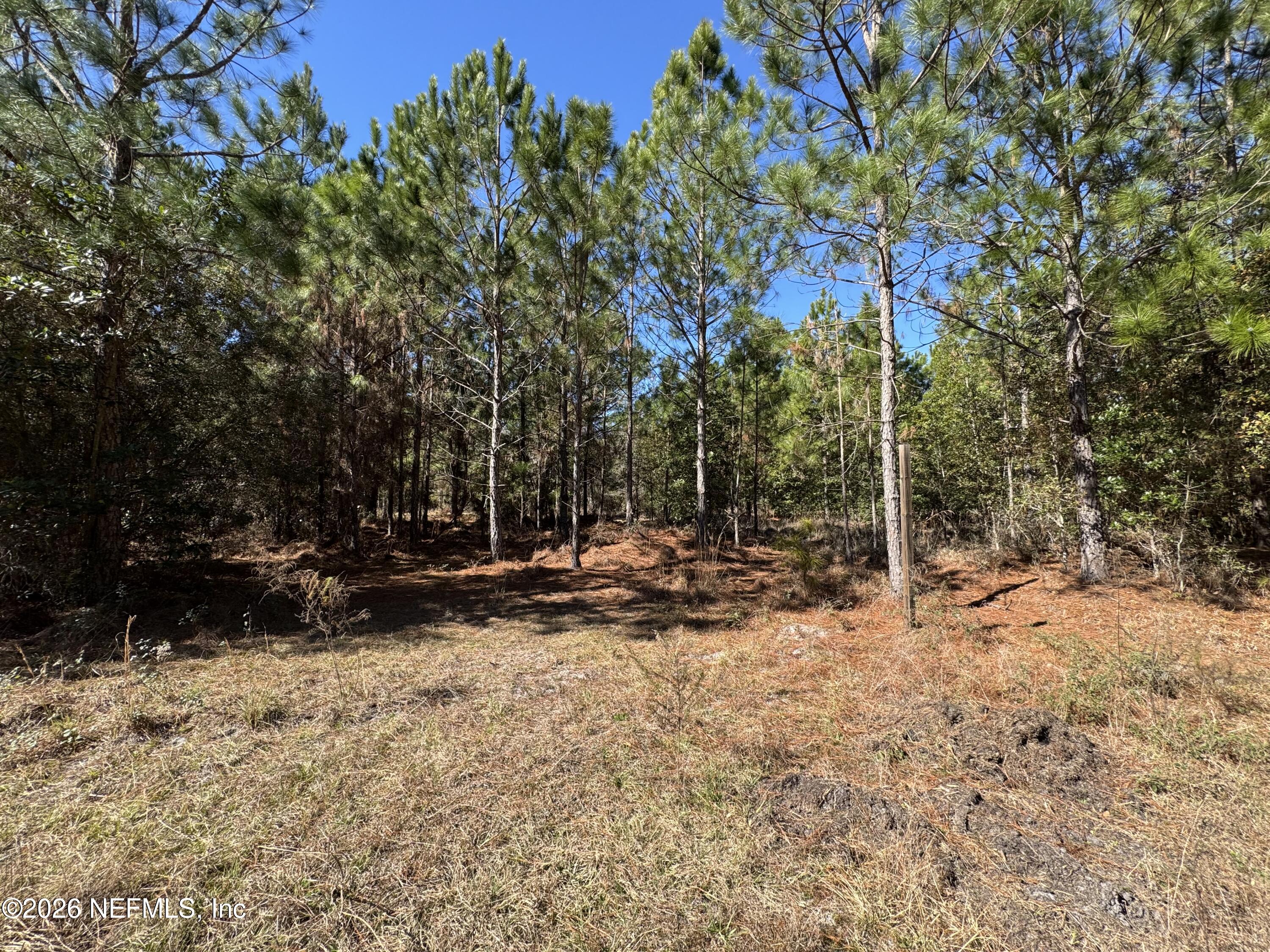 0 Southwest 105th Street Brooker, FL 32622 - Photo 40 of 40 IMG_6016