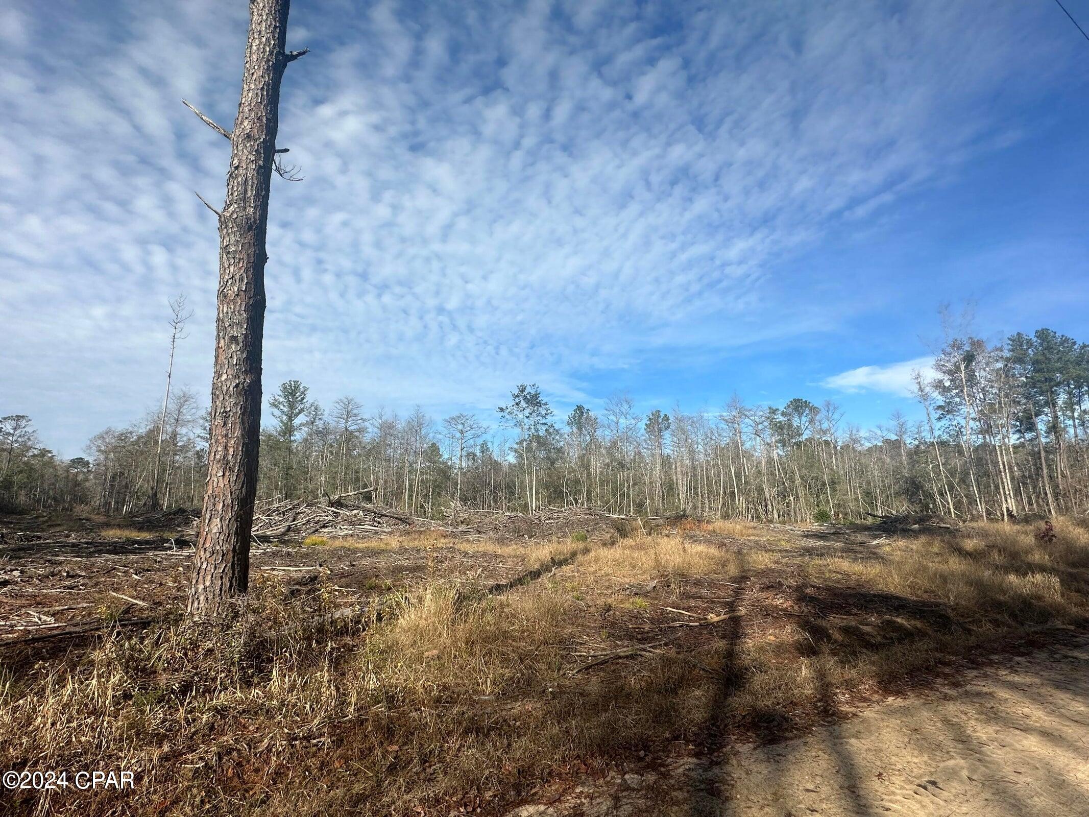 6331 Sellers Road Bonifay, FL 32425 - Photo 4 of 5