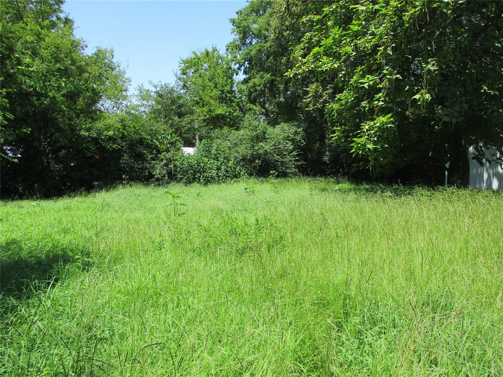 Tbd Wood Street Emory, TX 75440 - Photo 3 of 9 a view of green field with trees in the background
