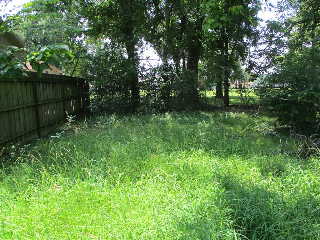 Tbd Wood Street Emory, TX 75440 - Photo 5 of 9 a view of backyard with green space
