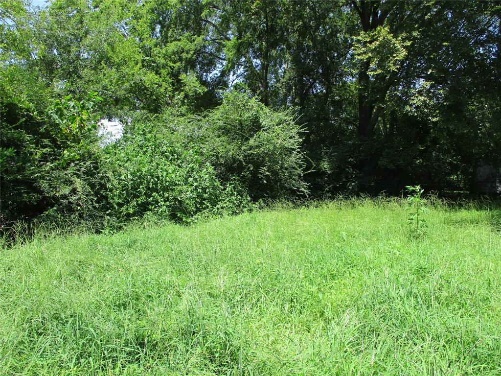 Tbd Wood Street Emory, TX 75440 - Photo 7 of 9 a view of garden with trees