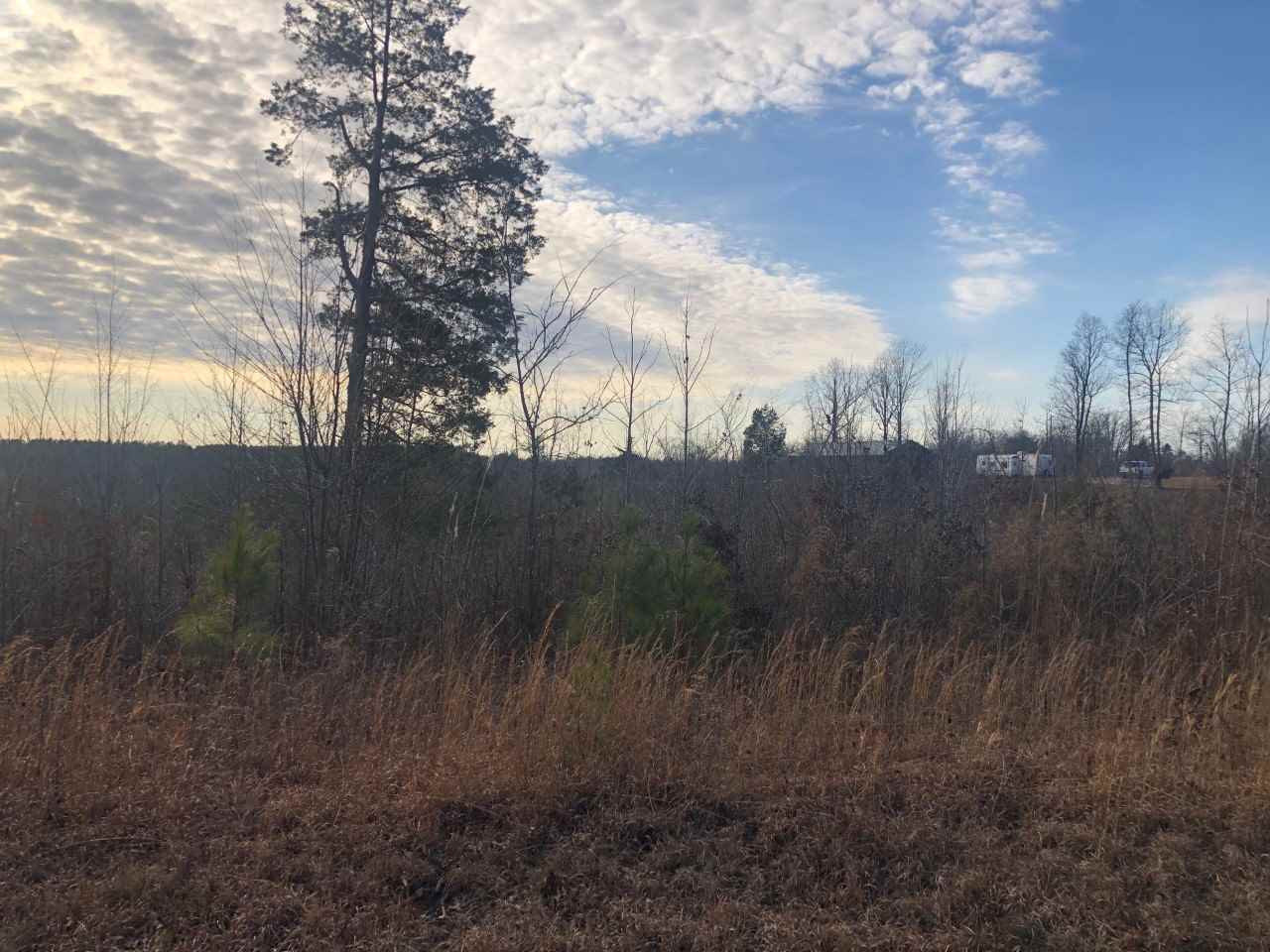 Joe Tillman Road Decaturville, TN 38329 - Photo 1 of 1 Photo 1
