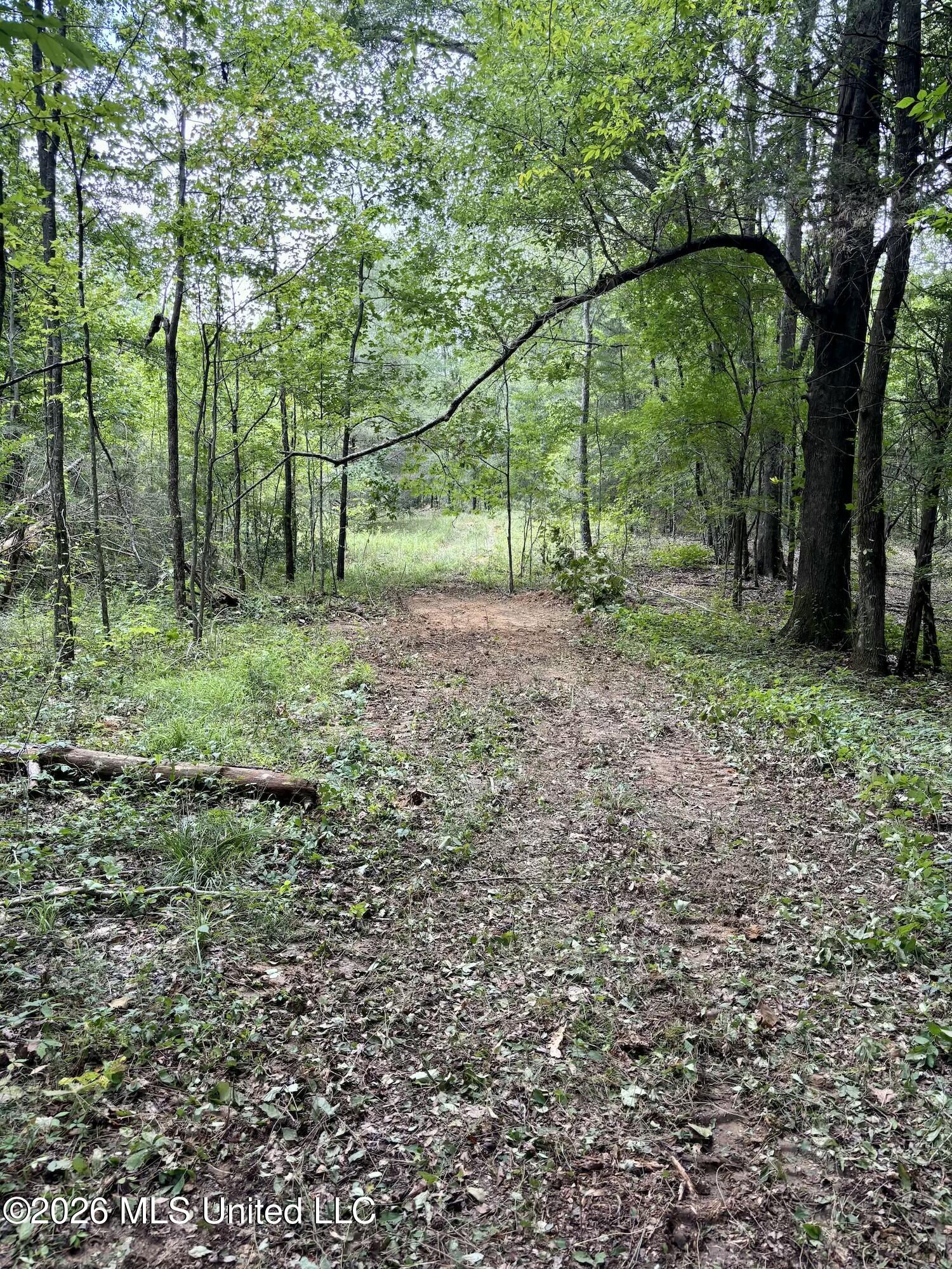 11616 Wildwood Road Vaughan, MS 39179 - Photo 11 of 27 IMG_5001