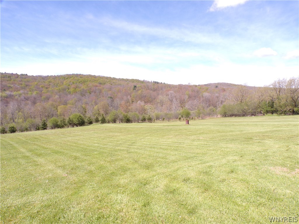 7581 North Branch Road Friendship, NY 14739 - Photo 7 of 22
