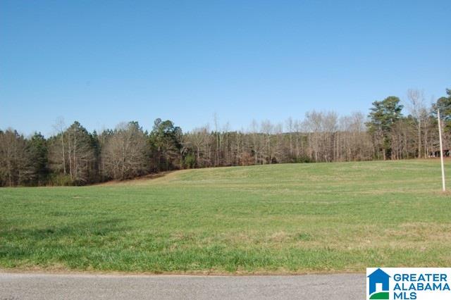 131 County Road, Unit 8 Roanoke, AL 36274 - Photo 1 of 6