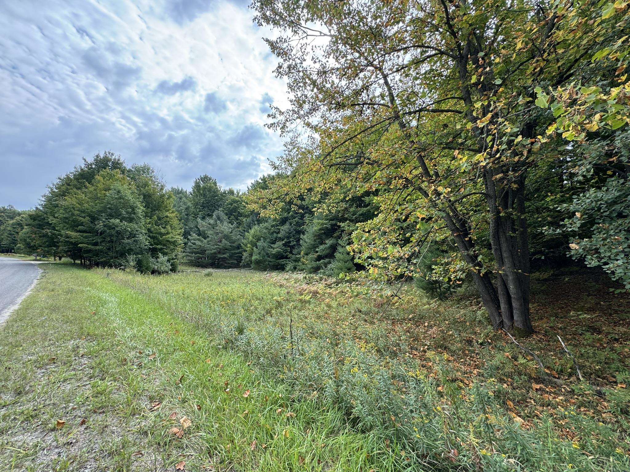 Lot 5 East Old Mountain Road, Unit LOT: 5 Cedar, MI 49621 - Photo 10 of 10