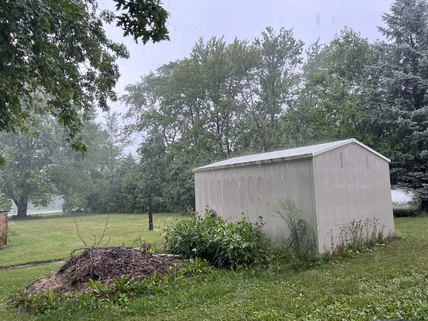 211 Hickory Drive Roberts, IL 60962 - Photo 5 of 14 a backyard of a house with lots of green space