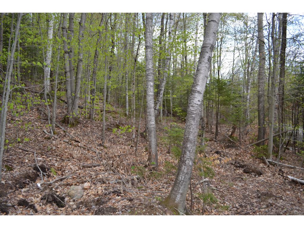 0 West Hill Road Worcester, VT 05682 - Photo 11 of 12