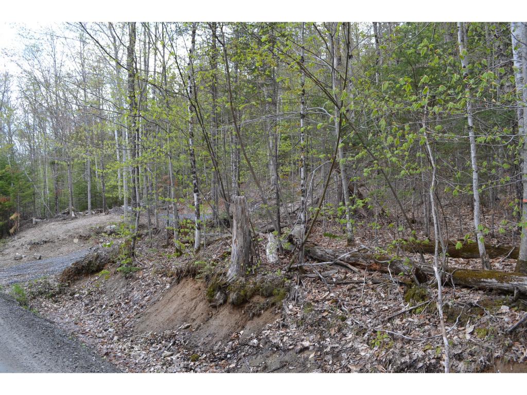 0 West Hill Road Worcester, VT 05682 - Photo 3 of 12