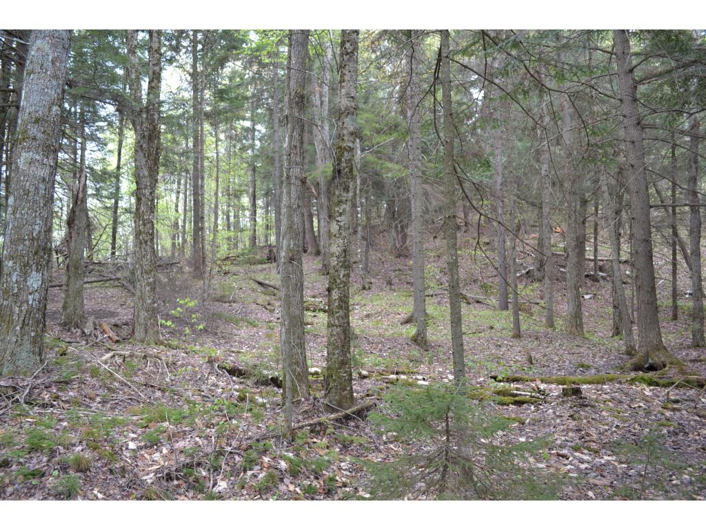 0 West Hill Road Worcester, VT 05682 - Photo 5 of 12