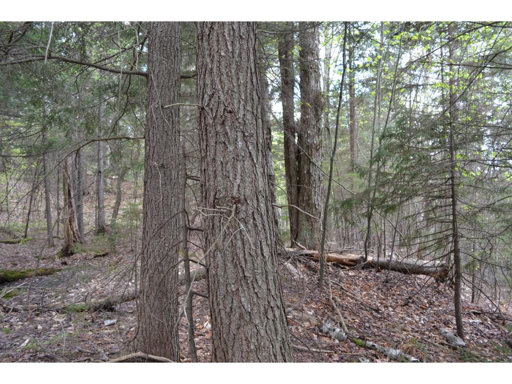 0 West Hill Road Worcester, VT 05682 - Photo 6 of 12