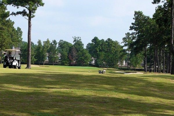 6010 Foxland Court Spring, TX 77379 - Photo 39 of 43 Windrose Golf Course