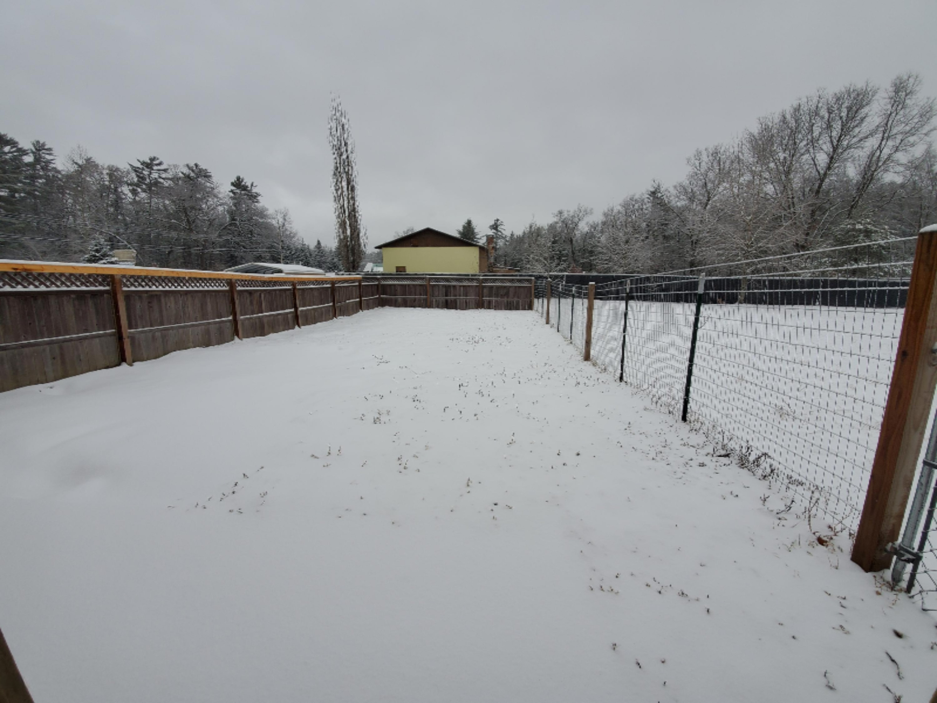 5648 Whitehall Road Whitehall, MI 49461 - Photo 6 of 23 Fenced Dog Run