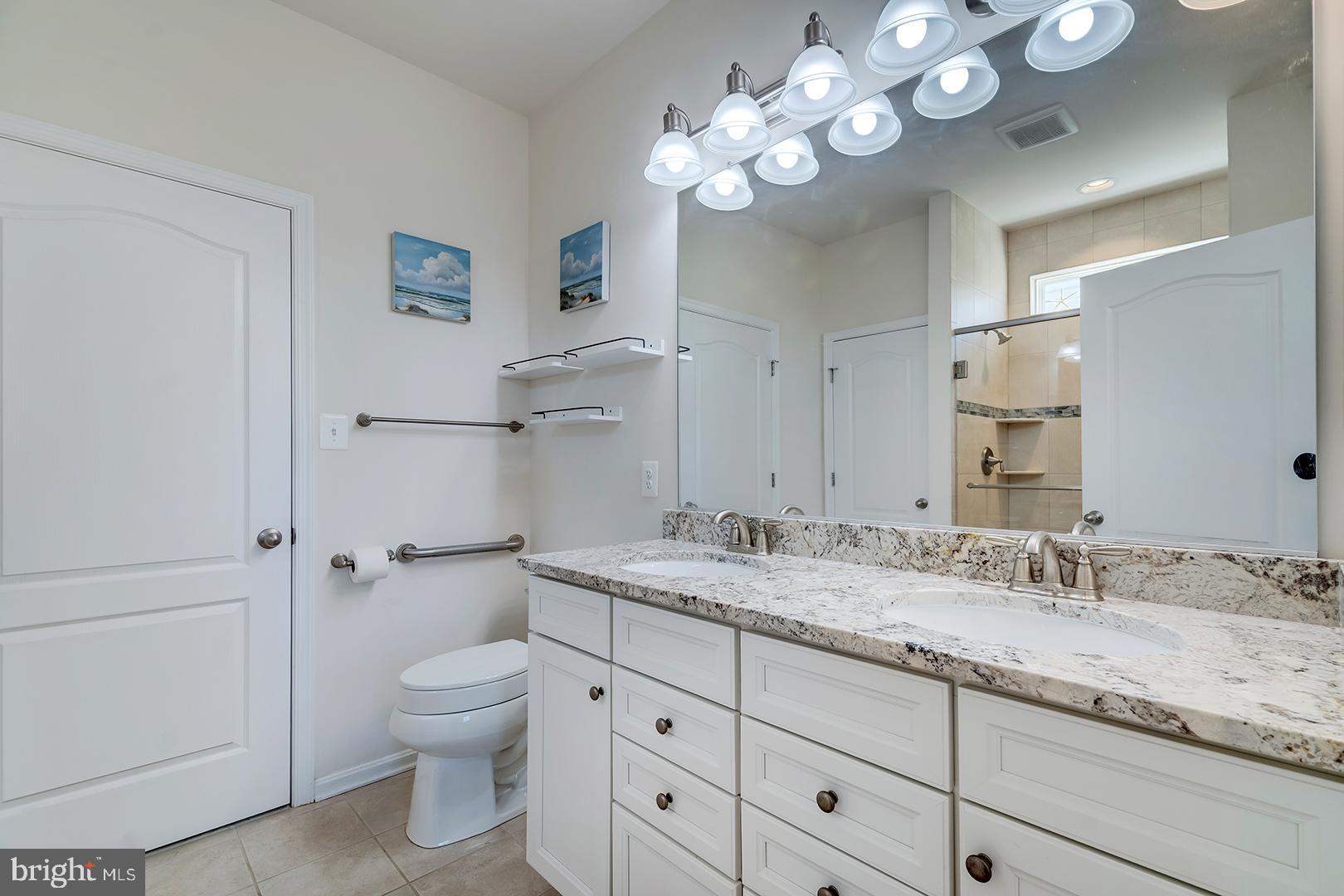 34438 Spring Brook Avenue Lewes, DE 19958 - Photo 5 of 58 a bathroom with a granite countertop sink a toilet and a mirror