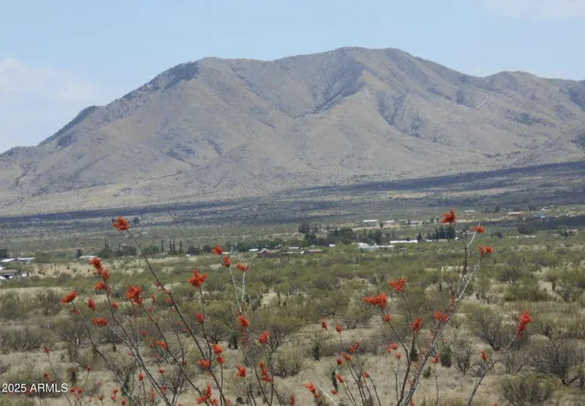 $133,000 | Tbd East Little Wing Road, Unit 6, Dragoon, AZ 85609