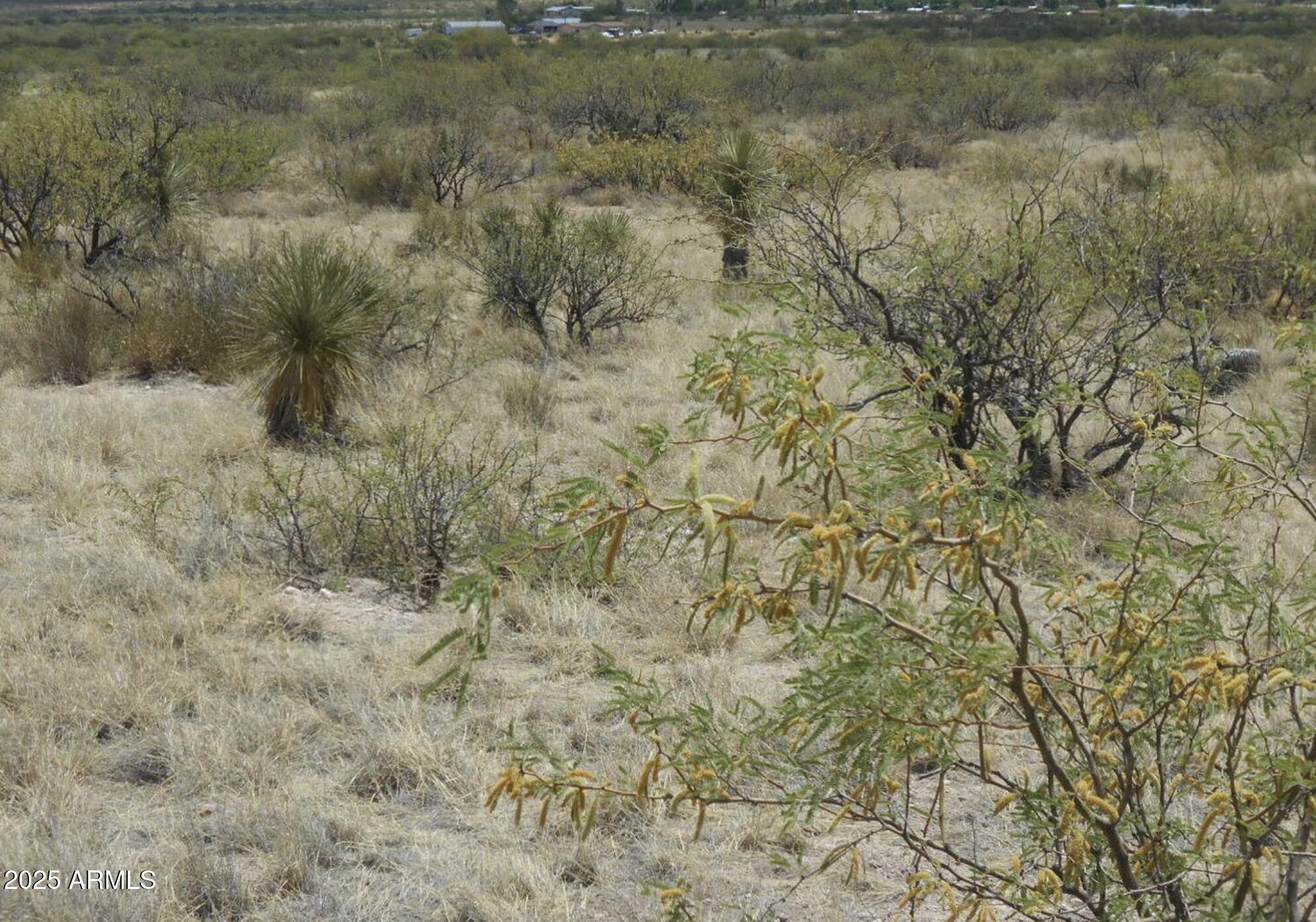 Tbd East Little Wing Road, Unit 6 Dragoon, AZ 85609 - Photo 3 of 10 a view of a dry yard with green space and fog