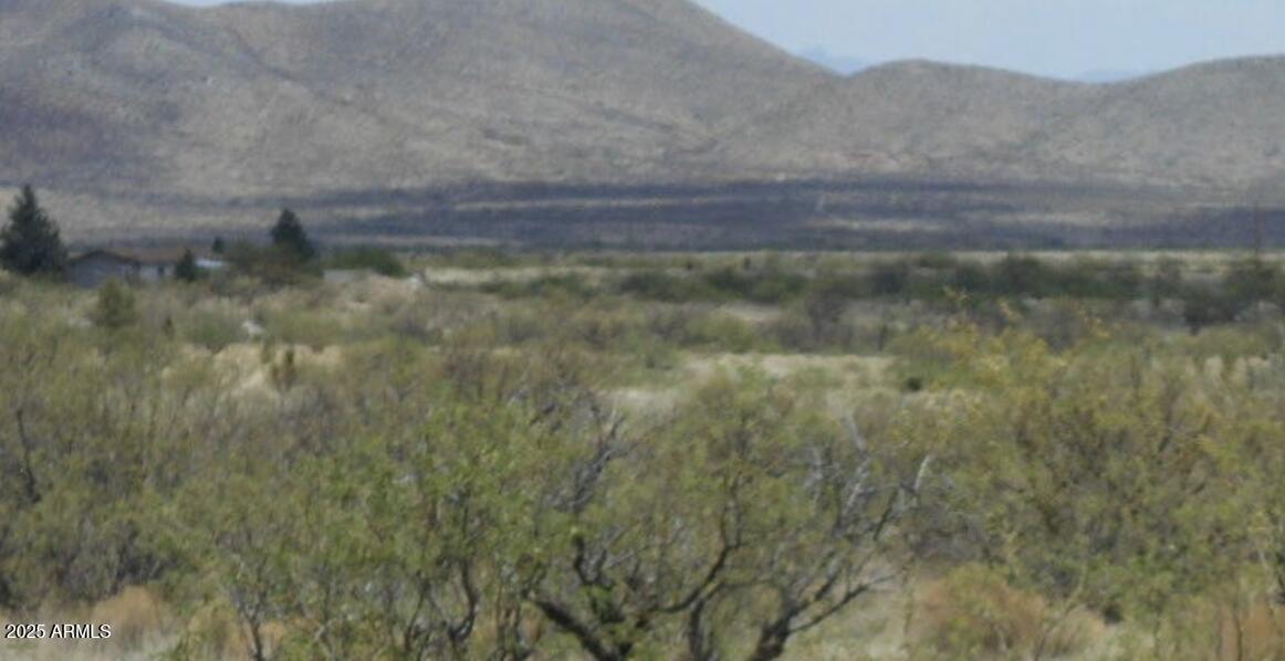 Tbd East Little Wing Road, Unit 6 Dragoon, AZ 85609 - Photo 4 of 10 a view of a yard