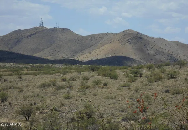 a view of a mountain in the distance in a field