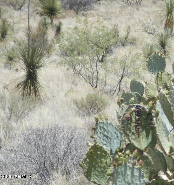 Tbd East Little Wing Road, Unit 6 Dragoon, AZ 85609 - Photo 8 of 10 a view of a field
