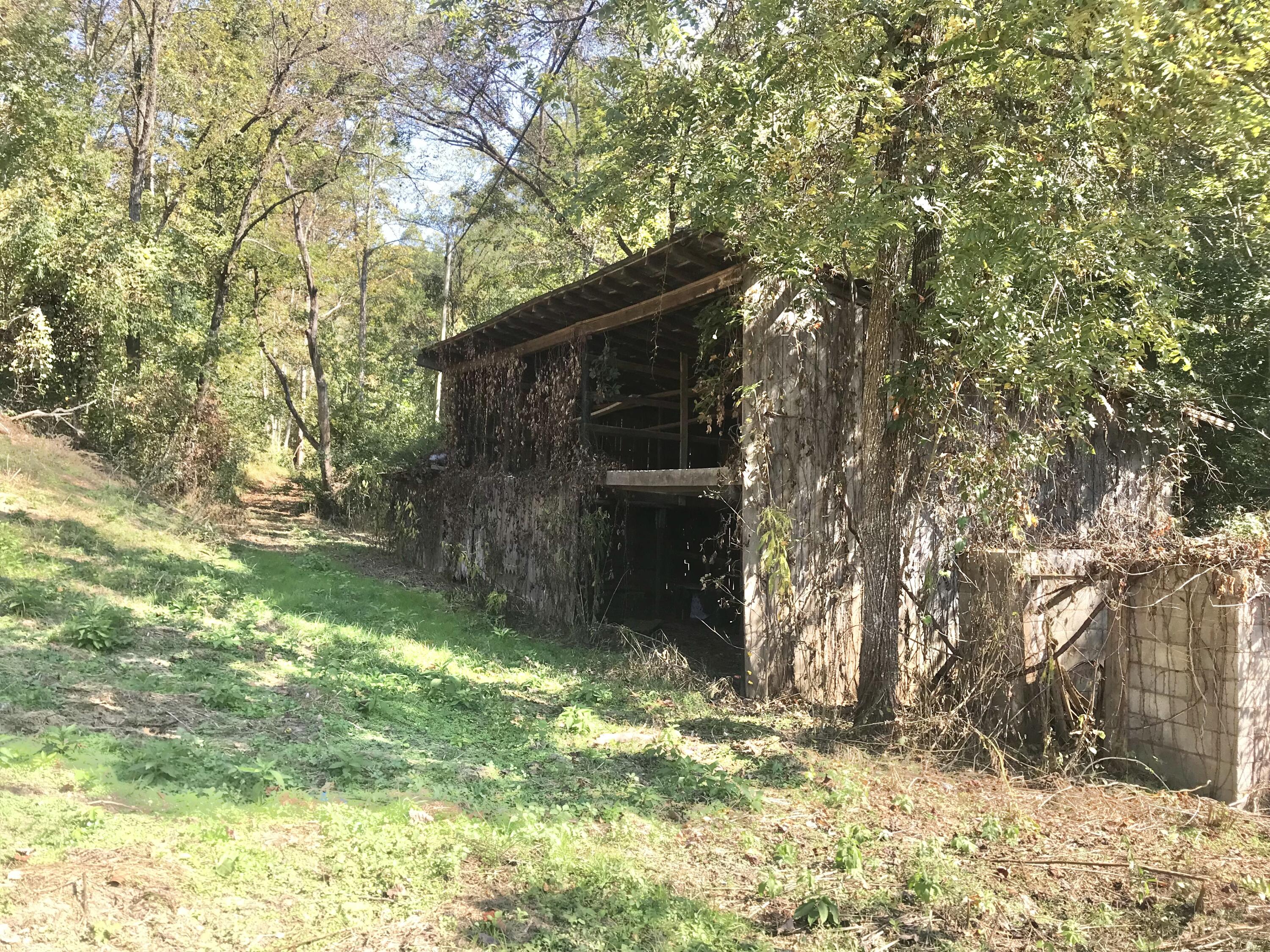 0 Middle Creek Road, Unit 35 ACRES LAND Sandy Hook, KY 41171 - Photo 24 of 47 IMG_7004