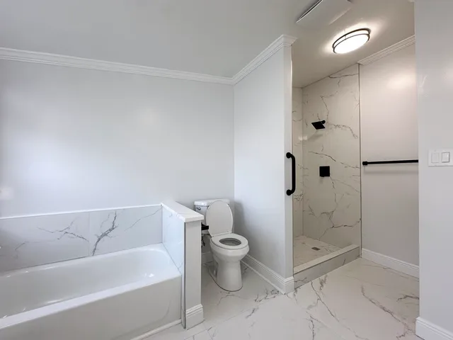 a bathroom with a shower and a toilet