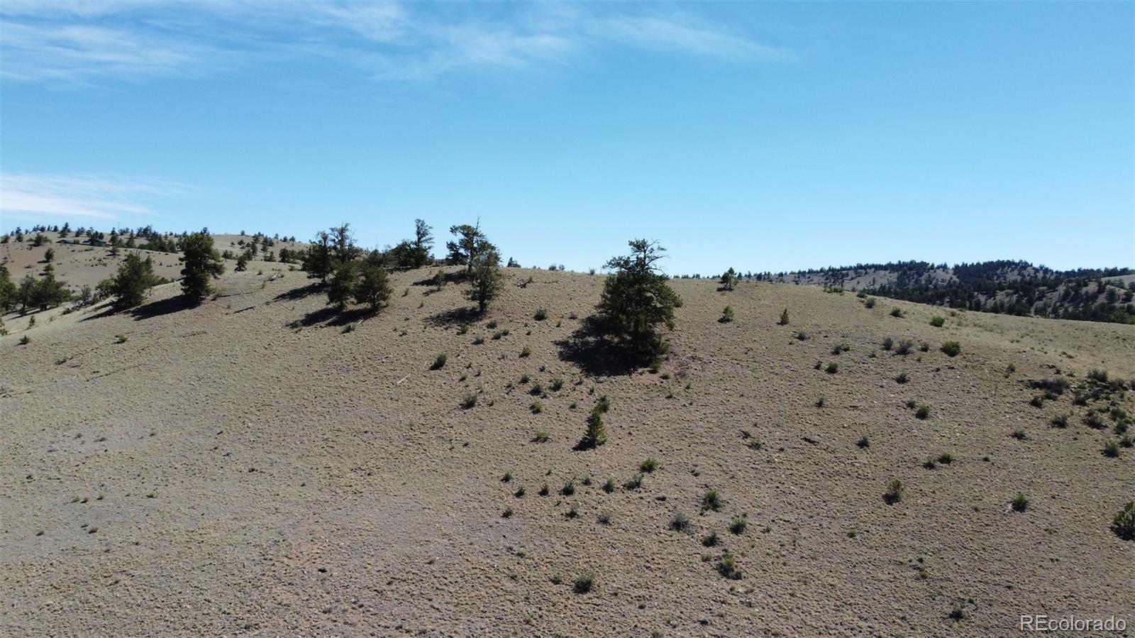 Hardwood Loop Hartsel, CO 80449 - Photo 14 of 38