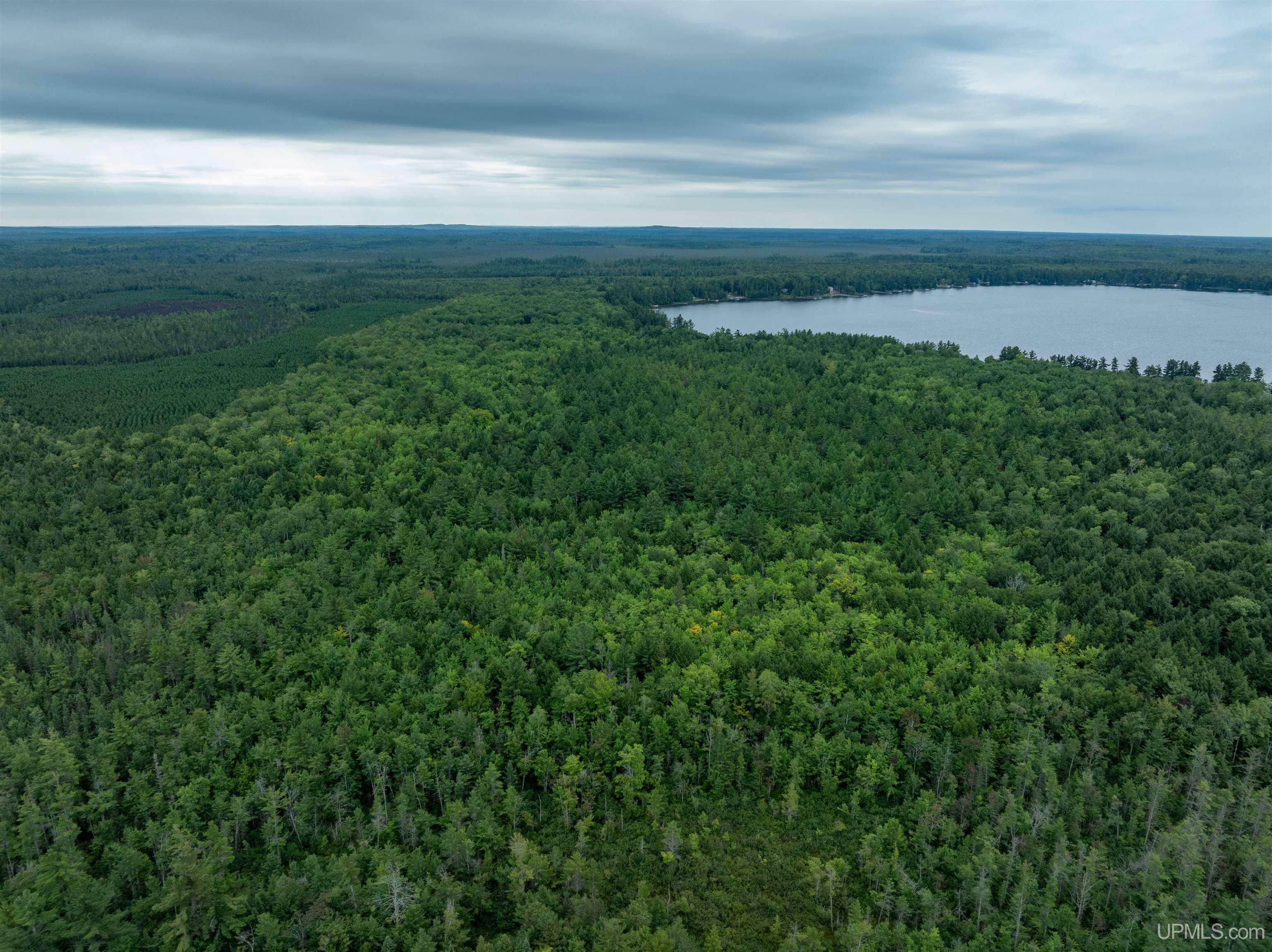 Tbd Round Lake Road Munising, MI 49862 - Photo 9 of 13