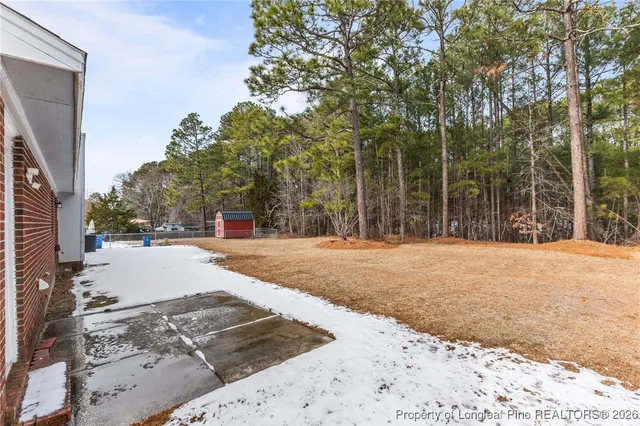 a street view with large trees