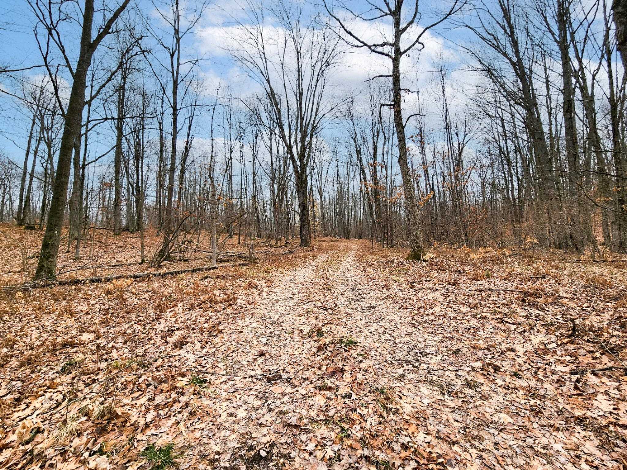 26-acres Mostetler Road Harrison, MI 48625 - Photo 17 of 18 Gallery Image 17