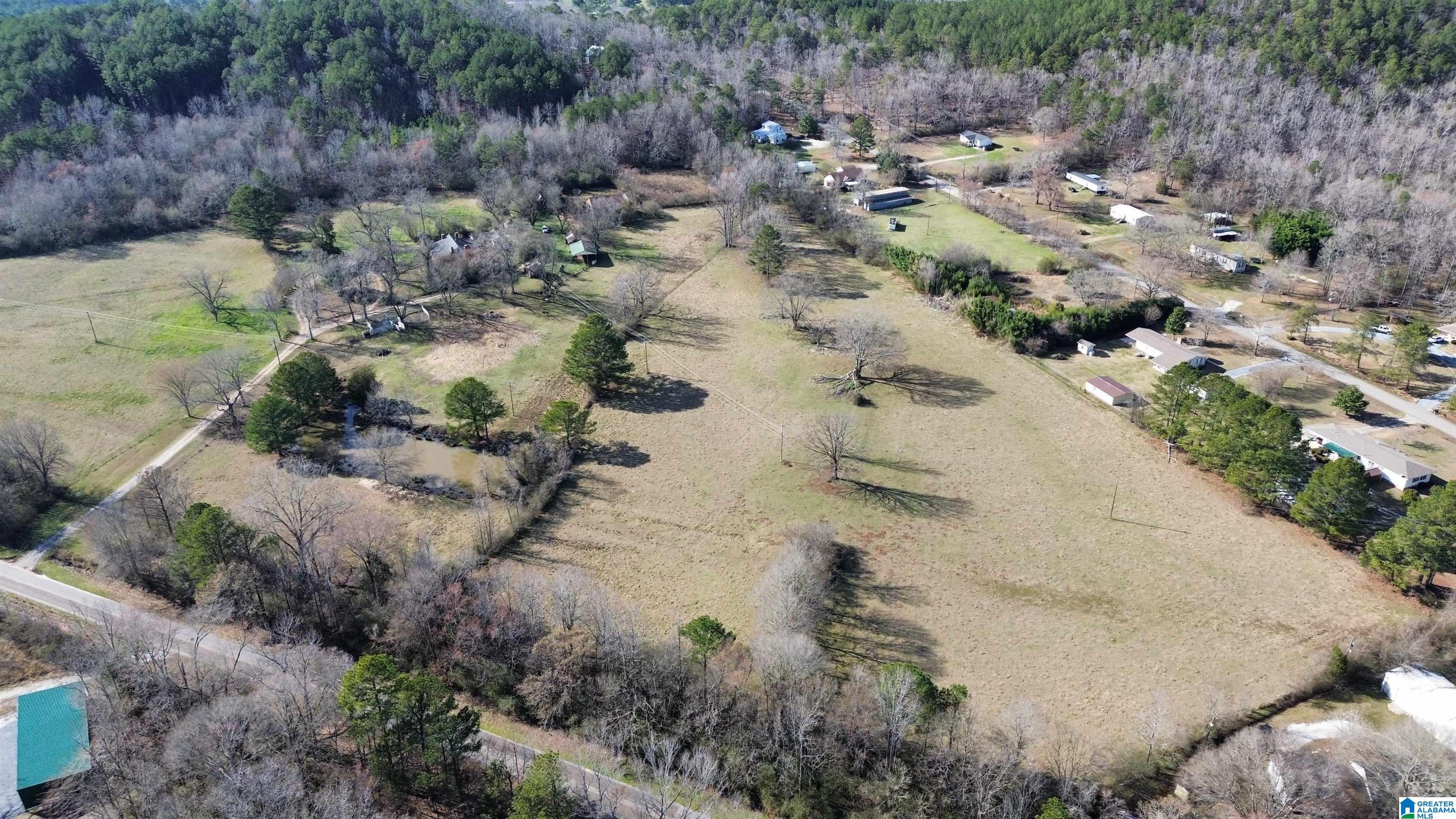 1322 Talladega Springs Road Sylacauga, AL 35151 - Photo 19 of 22