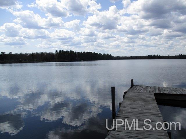 E17053 Nevins Lake Road Shingleton, MI 49884 - Photo 7 of 26