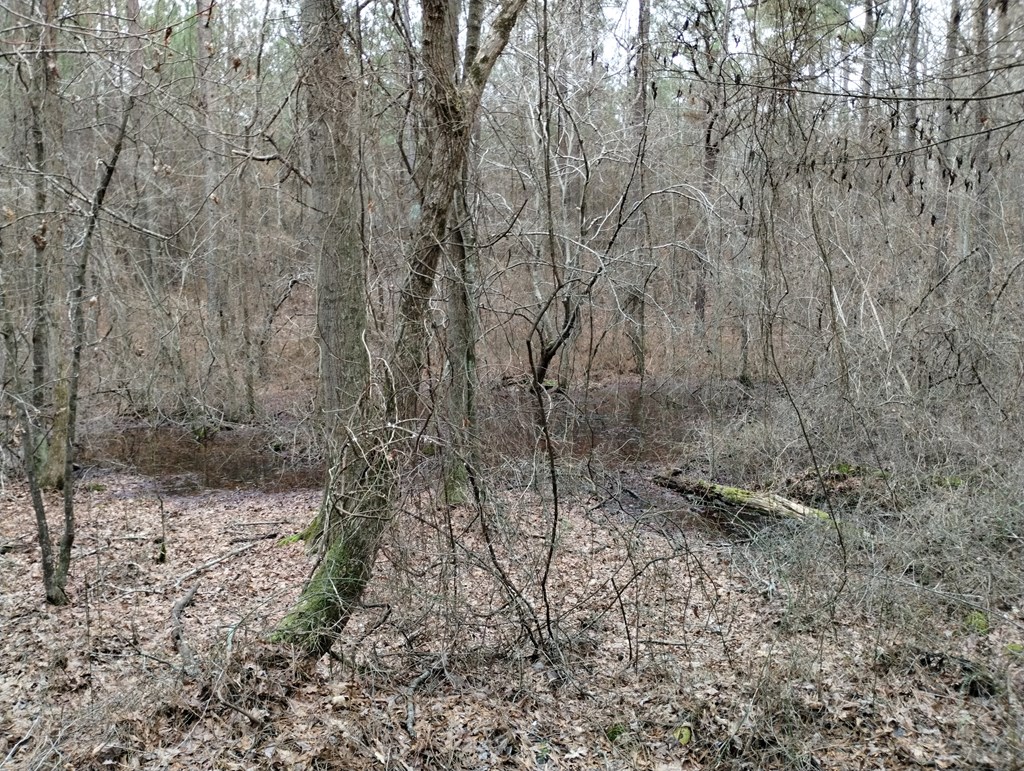 0 Walt Maddron Road Cohutta, GA 30710 - Photo 7 of 9